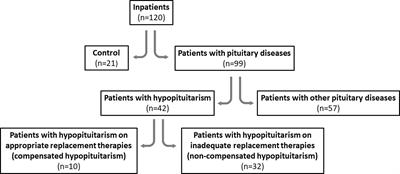 Decreased mannan-binding lectin level in adults with hypopituitarism; dependence on appropriate hormone replacement therapies